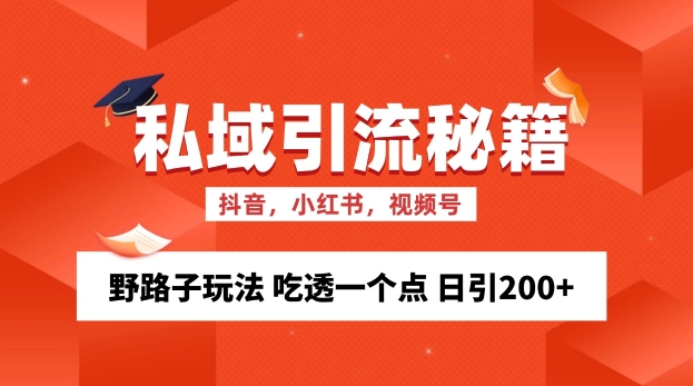 私域流量的精准化获客方法 野路子玩法 吃透一个点 日引200+ 【揭秘】-shxbox省心宝盒
