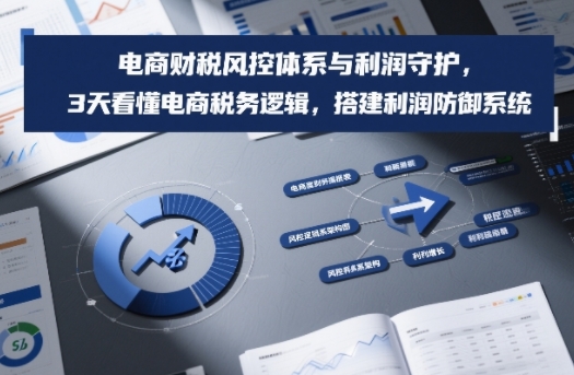 电商财税风控体系与利润守护，3天看懂电商税务逻辑，搭建利润防御系统-shxbox省心宝盒