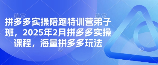 拼多多实操陪跑特训营弟子班，2025年2月拼多多实操课程，海量拼多多玩法-shxbox省心宝盒