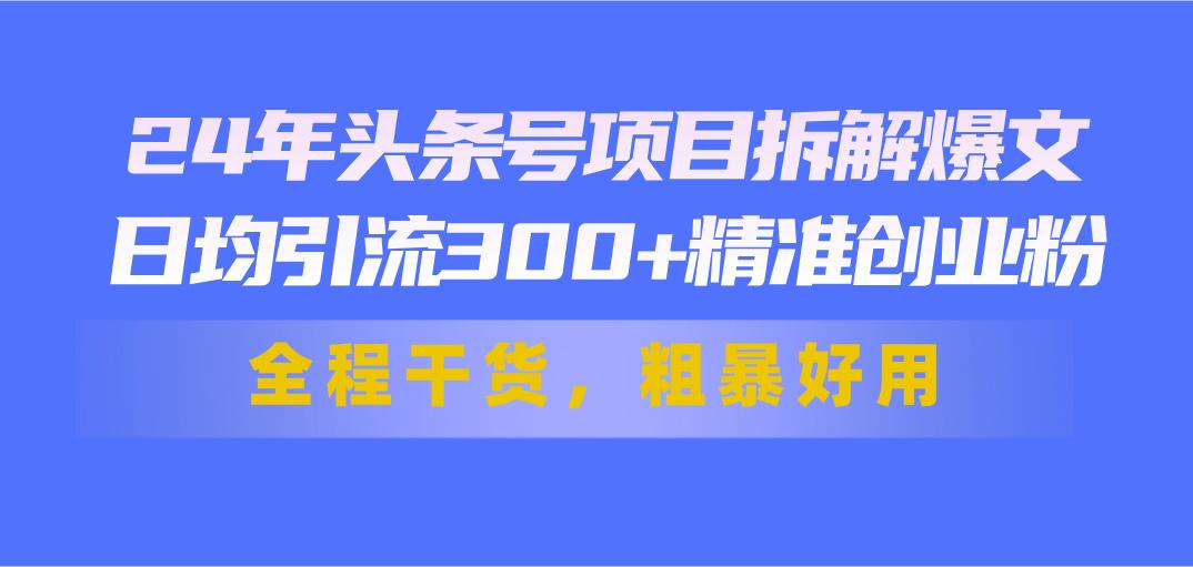 24年头条号项目拆解爆文，日均引流300+精准创业粉，全程干货，粗暴好用-shxbox省心宝盒