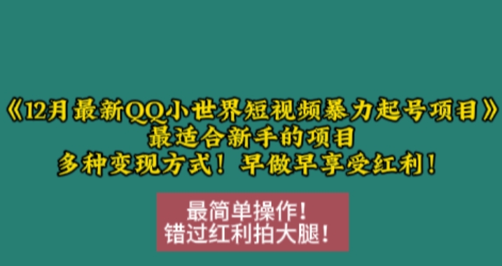 12月最新QQ小世界短视频暴力起号项目，最适合新手的项目，多种变现方式-shxbox省心宝盒