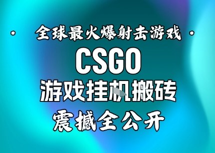 【年底大揭秘】基于全球最火爆的射击CSGO游戏挂G搬砖，日入5张+，震撼公开-shxbox省心宝盒
