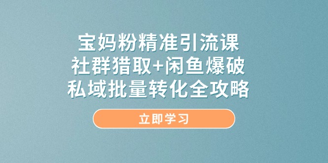 宝妈粉精准引流课，社群猎取+闲鱼爆破，私域批量转化全攻略-shxbox省心宝盒