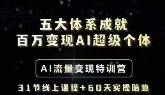 五大体系成就百万变现AI超级个体- AI流量变现特训营，一步一步教你一个人怎么年入百W-shxbox省心宝盒