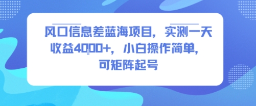 风口信息差蓝海项目，实测一天收益4k+，小白操作简单，可矩阵起号-shxbox省心宝盒