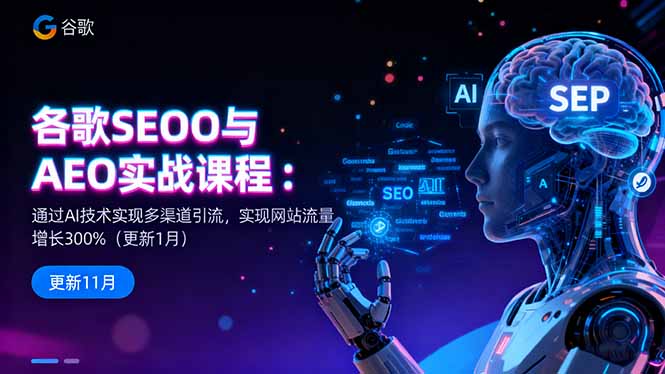 谷歌SEO与AEO实战课程：通过AI技术实现多渠道引流，实现网站流量增长300%-shxbox省心宝盒