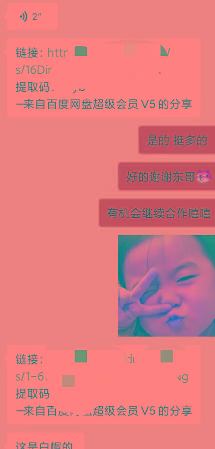 某收费培训：如何一个月快速做出盈利的资源网站(实打实经验)-18节无水印-shxbox省心宝盒