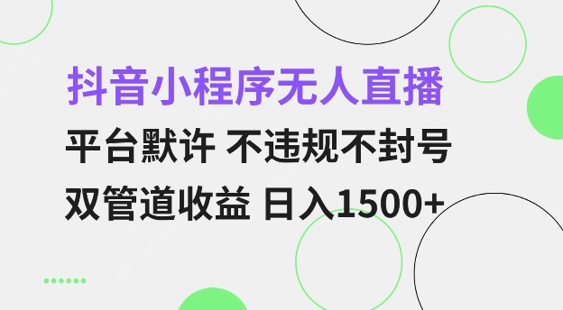 抖音小程序无人直播 平台默许 不违规不封号 双管道收益 日入多张 小白也能轻松操作【仅揭秘】-shxbox省心宝盒