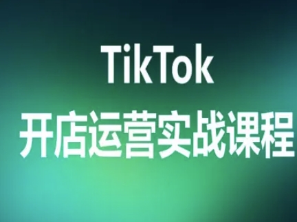 TikTok开店运营实战课程，TK跨境电商实操全流程-shxbox省心宝盒