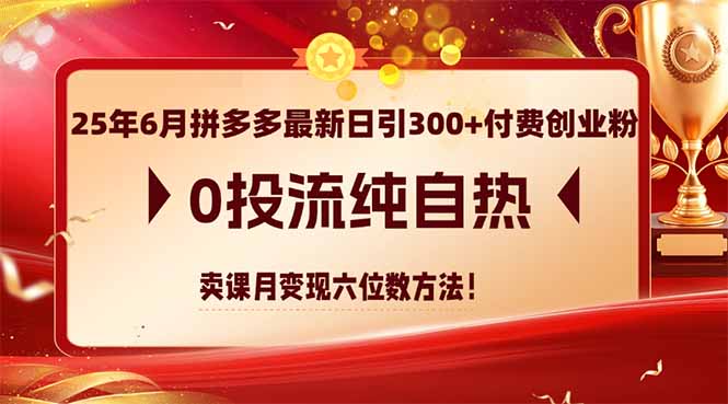 25年6月拼多多最新日引300+付费创业粉，0投流纯自热 卖课月变现六位数方法-shxbox省心宝盒