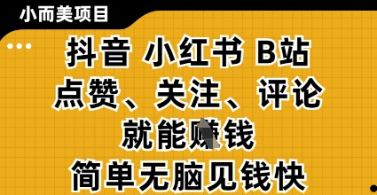 小而美的项目，抖音小红书B站视频点赞、关注、评论就能挣钱，简单无脑立见收益，妥妥的零撸项目【揭秘】-shxbox省心宝盒