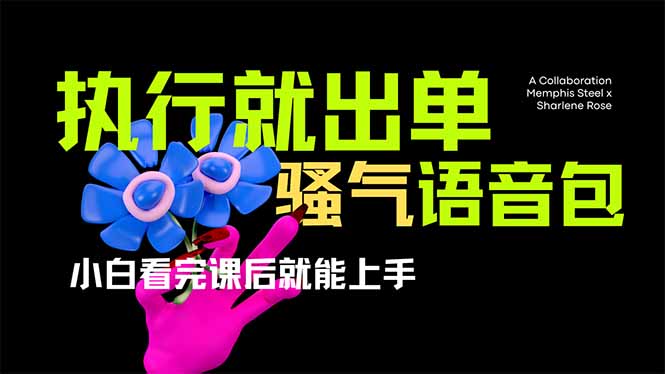 爆火全网的开车导航骚气语音包,只要执行就出单，小白看完课程就能实操...-shxbox省心宝盒
