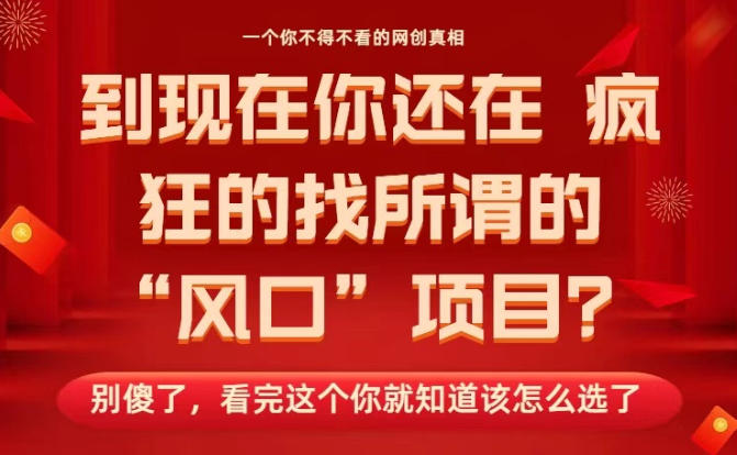 马上26年了，你还在找所谓的风口项目？别傻了，看完这个你全都懂了！【揭秘】-shxbox省心宝盒