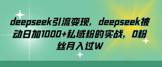deepseek引流变现，deepseek被动日加1000+私域粉的实战，0粉丝月入过W-shxbox省心宝盒