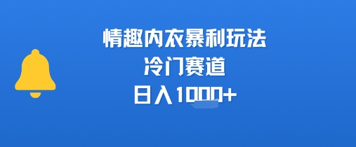 情趣内衣暴利玩法，冷门赛道，日入1k+-shxbox省心宝盒