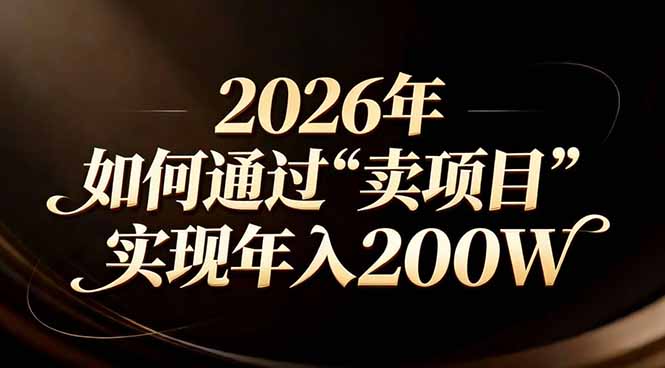 站在2026年的十字路口：一个普通人如何通过卖项目实现年入200万-shxbox省心宝盒