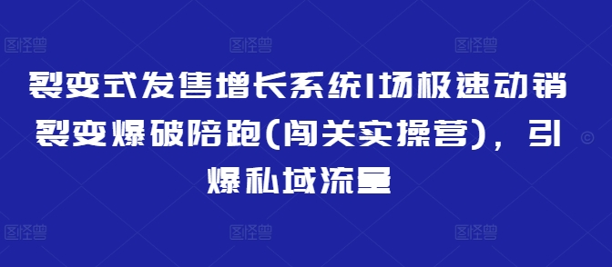 裂变式发售增长系统1场极速动销裂变爆破陪跑(闯关实操营),引爆私域流量-shxbox省心宝盒