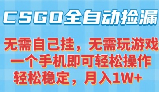 CSGO自动捡漏项目，最新独家玩法，一个手机可操作，新手小白轻松月入1W+，操作简单易上手【揭秘】-shxbox省心宝盒