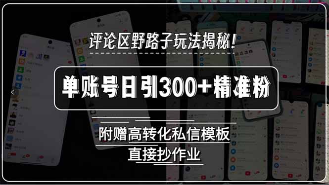 评论区野路子玩法揭秘！单账号日引300+精准粉，附赠高转化私信模板，直...-shxbox省心宝盒