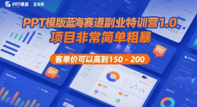 PPT模版蓝海赛道副业特训营1.0，项目非常简单粗暴，客单价可以高到150-200-shxbox省心宝盒