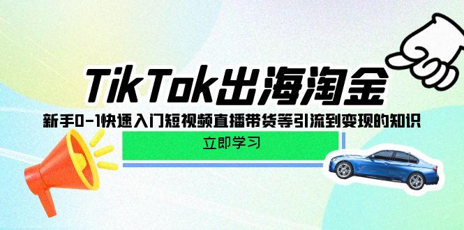 (10035期)TikTok-出海淘金，新手0-1快速入门短视频直播带货等引流到变现的知识-shxbox省心宝盒