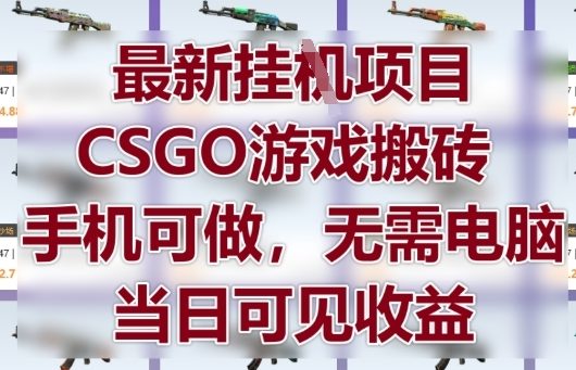 最新挂G项目，CSGO游戏搬砖，手机可做，无需电脑，当日见收益【揭秘】-shxbox省心宝盒