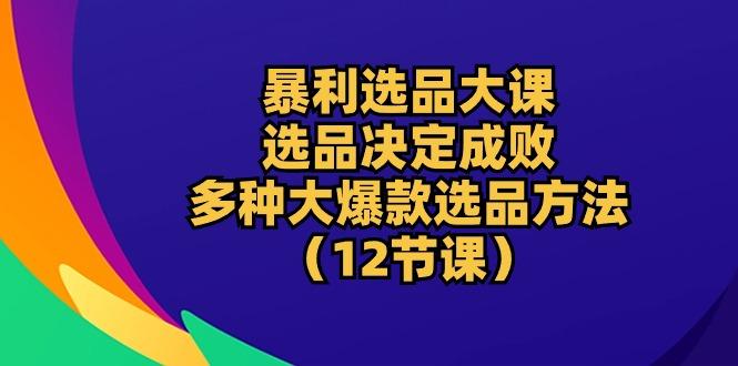 暴利 选品大课：选品决定成败，教你多种大爆款选品方法(12节课-shxbox省心宝盒