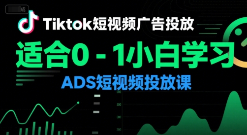 Tiktok短视频广告投放，适合0-1小白学习ADS短视频投放课-shxbox省心宝盒