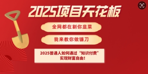 2025项目天花板普通人如何通过知识付费，实现财F自由【揭秘】-shxbox省心宝盒