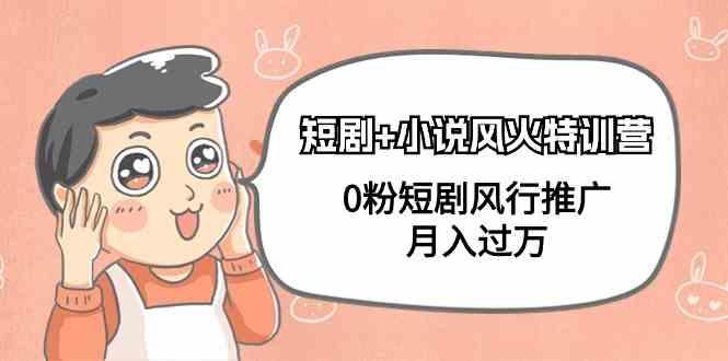 小说+短剧风火特训营，0粉短剧小说风行推广，实现月入过万-shxbox省心宝盒